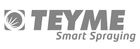 Teyme-Logo