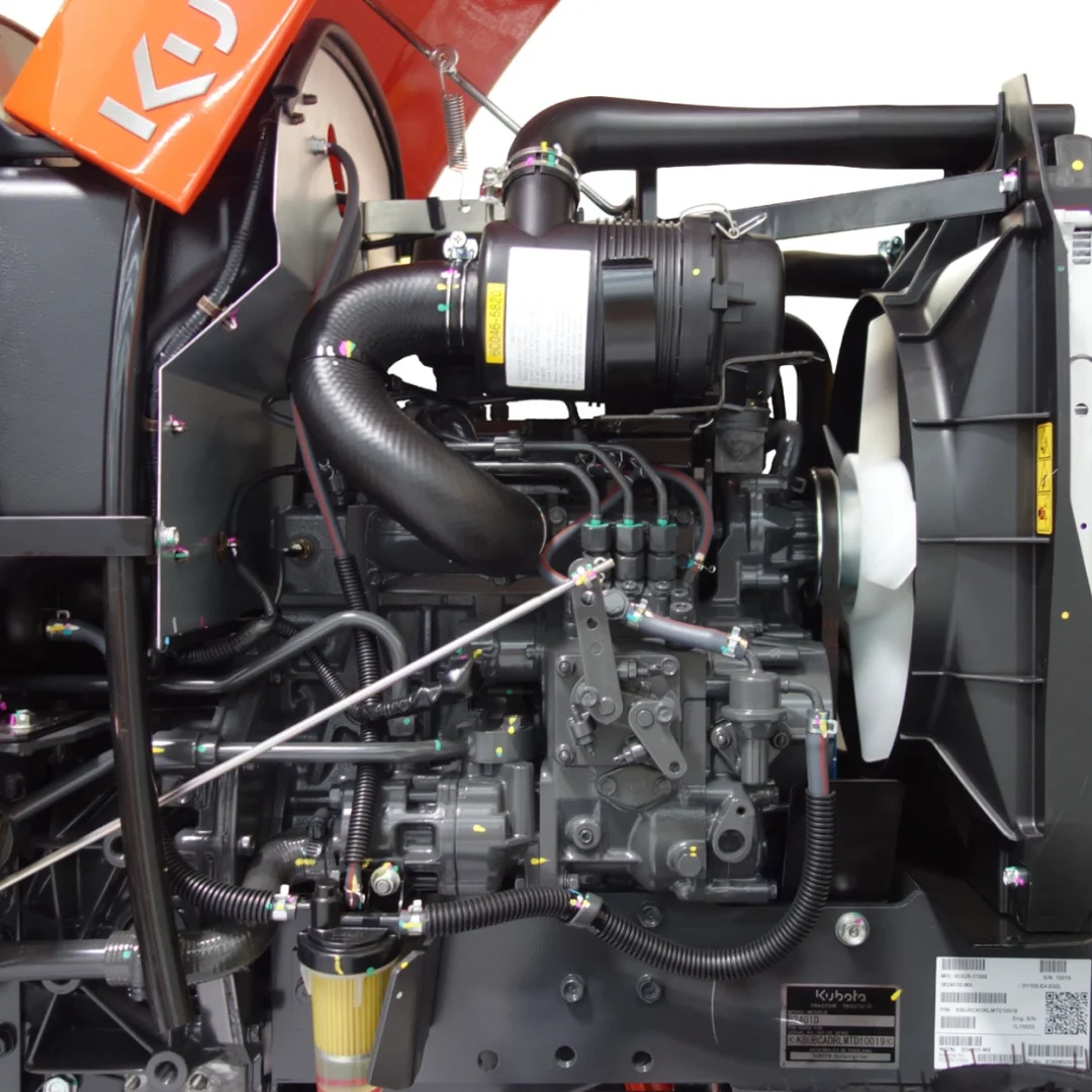 B2401D-MX - Image 4